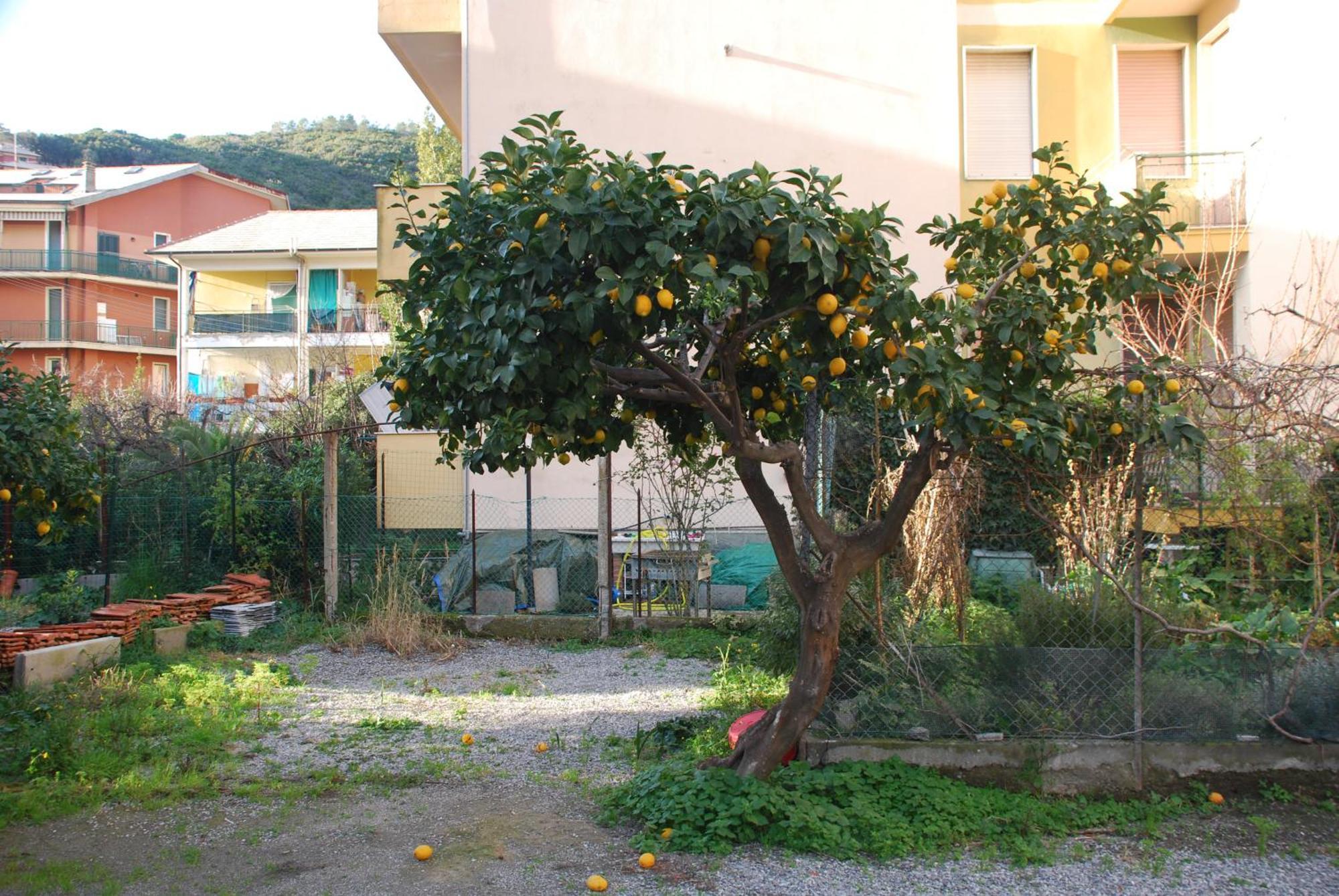 Apartament Tinetto Brezza Di Mare Deiva Marina Zewnętrze zdjęcie